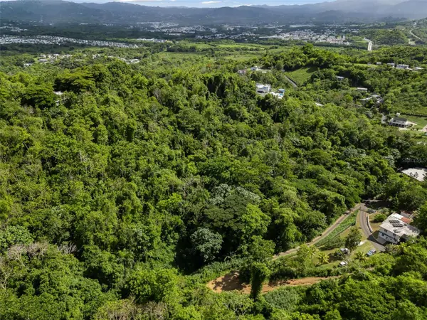 181 Km 31.0 Lote 7 BO. QUEBRADA, San Lorenzo, PR 00754