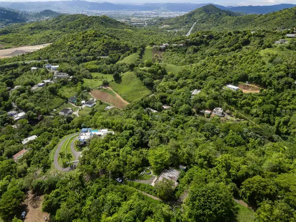 181 Km 31.0 Lote 7 BO. QUEBRADA, San Lorenzo, PR 00754