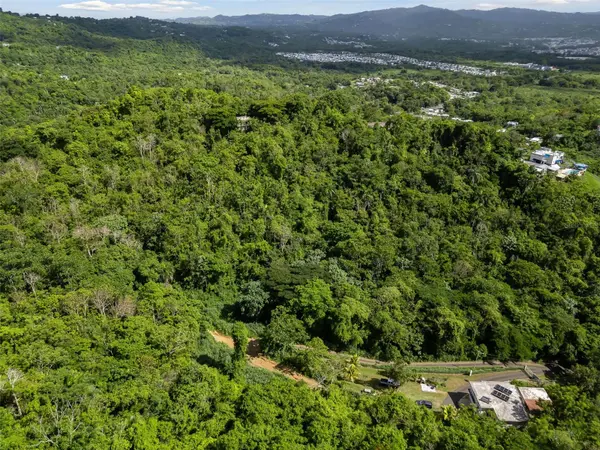 181 Km 31.0 Lote 7 BO. QUEBRADA, San Lorenzo, PR 00754