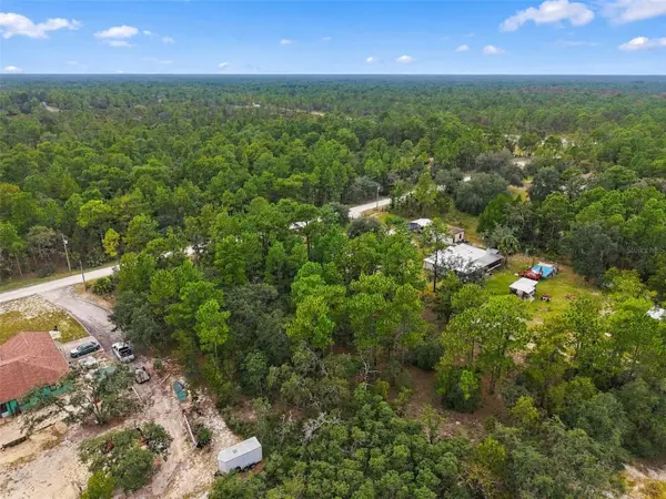 11467 RASCHKE RUN, Weeki Wachee, FL 34614