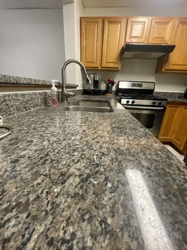 1829 S Carpenter ST #1, Chicago, IL 60608