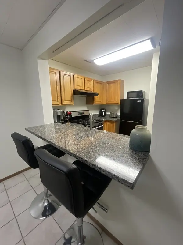 1829 S Carpenter ST #1, Chicago, IL 60608
