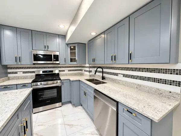 442 E 48th ST #B2, Chicago, IL 60615