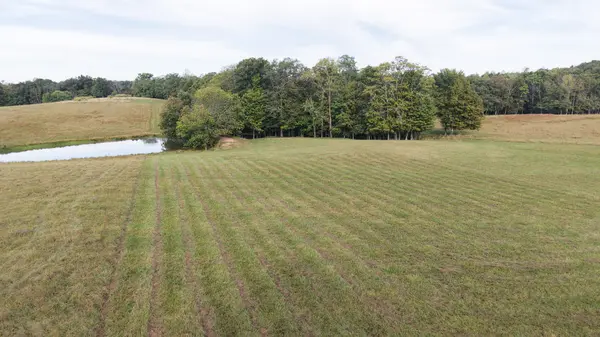 0 White Oak Flatt Rd, Sparta, TN 38583