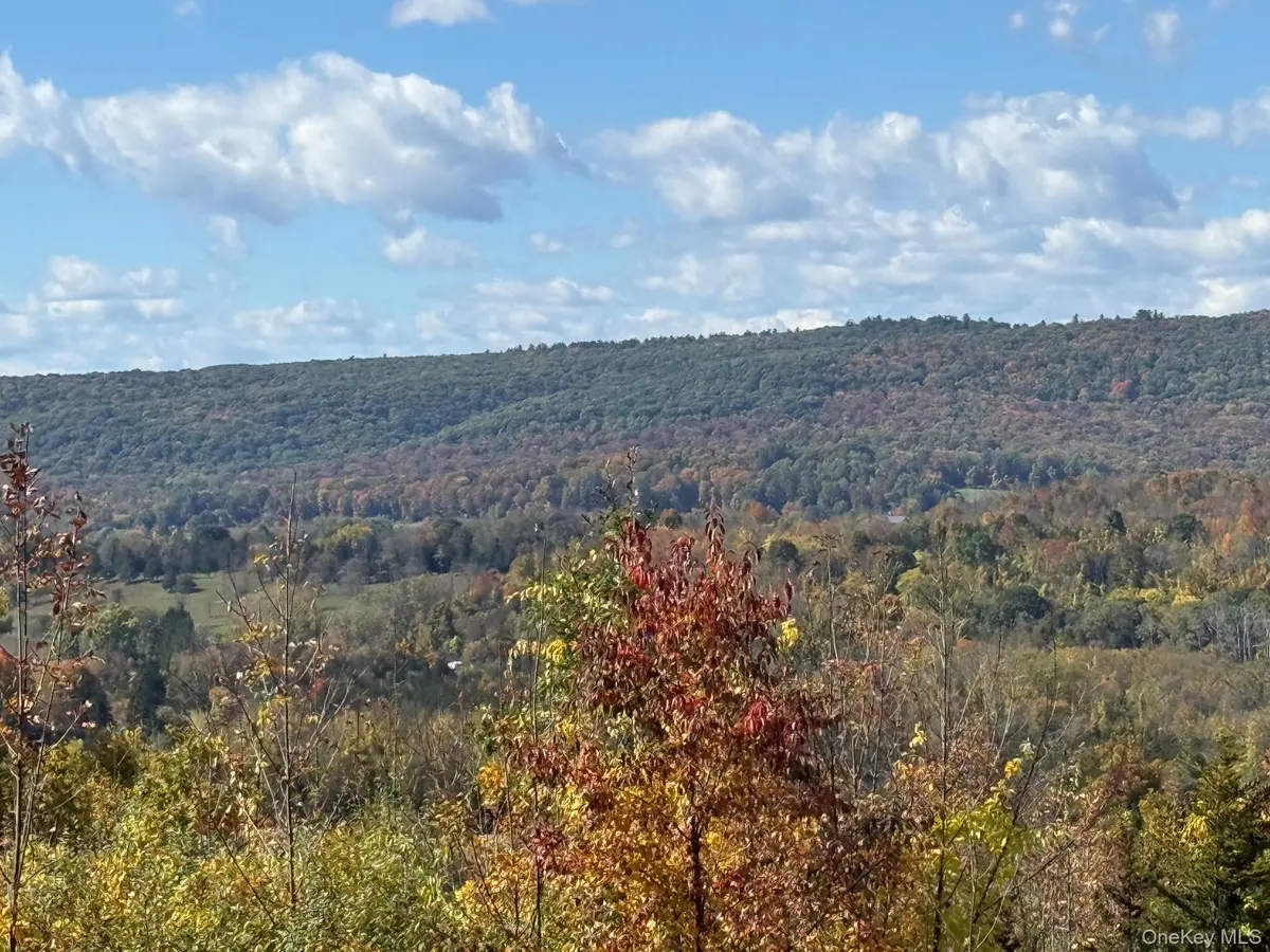 Lot # 11 Westerly Ridge DR, Amenia, NY 12501