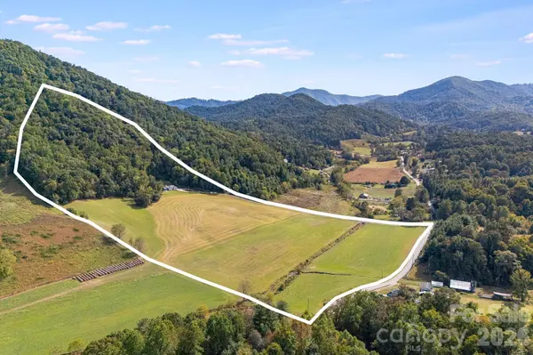422 S Turkey Creek RD, Leicester, NC 28748