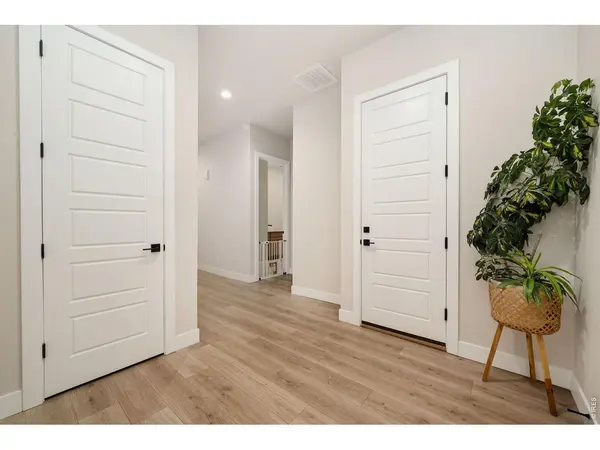 1780 Barefoot, Windsor, CO 80550