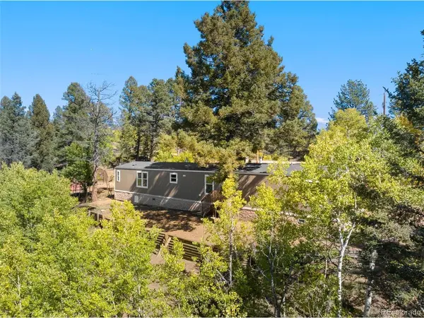 695 Elk Creek, Divide, CO 80814
