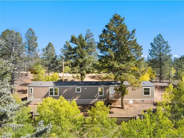 695 Elk Creek, Divide, CO 80814