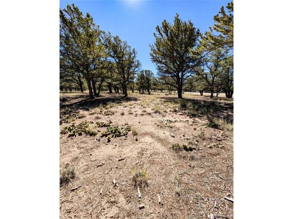 112 Baca Grant, Crestone, CO 81131