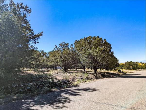 112 Baca Grant, Crestone, CO 81131