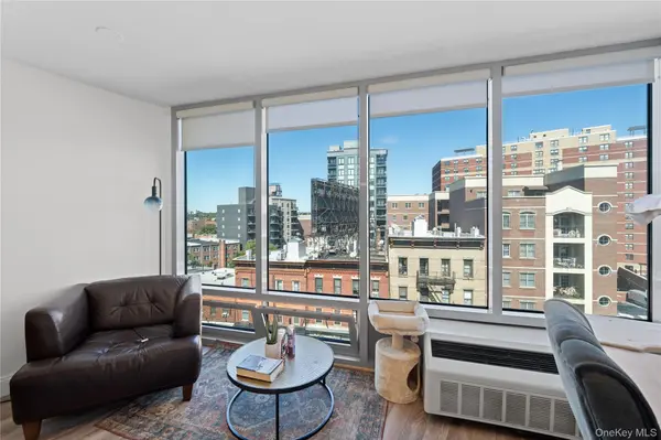 2818 Astoria BLVD #602, Long Island City, NY 11102
