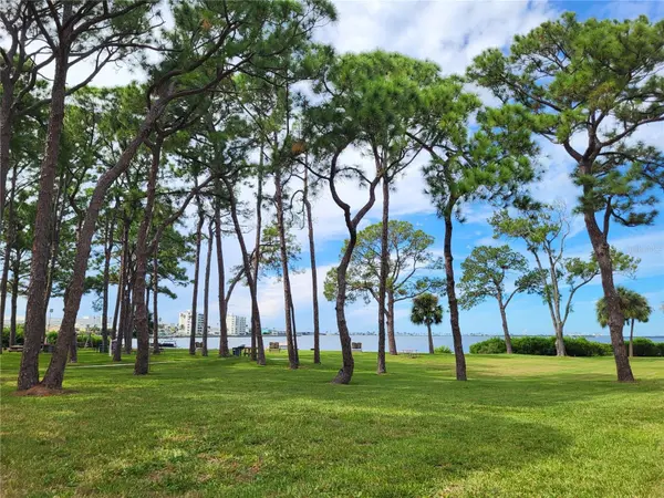 2700 BAYSHORE BLVD #4102, Dunedin, FL 34698