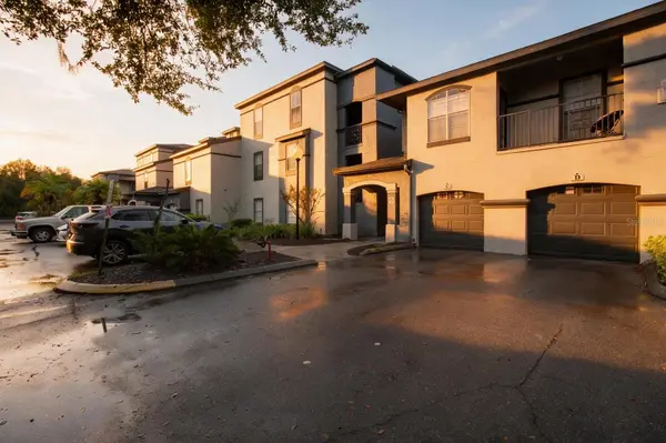 8513 ISLAND BREEZE LN #207, Temple Terrace, FL 33637