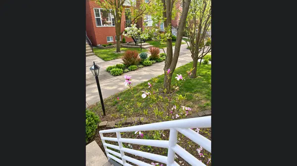 4037 S Ellis AVE, Chicago, IL 60653