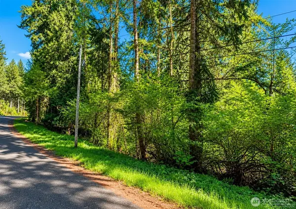 10515 Edgewood DR, Anderson Island, WA 98303