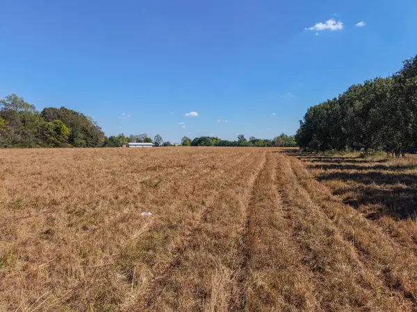 0 Shannon Rd, Leoma, TN 38468