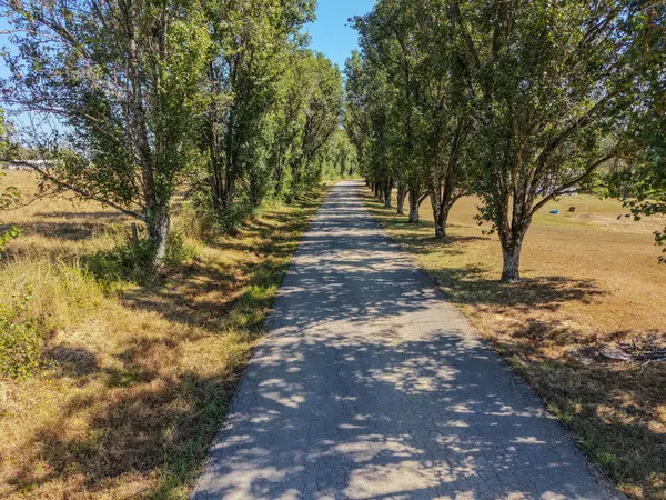 0 Shannon Rd, Leoma, TN 38468