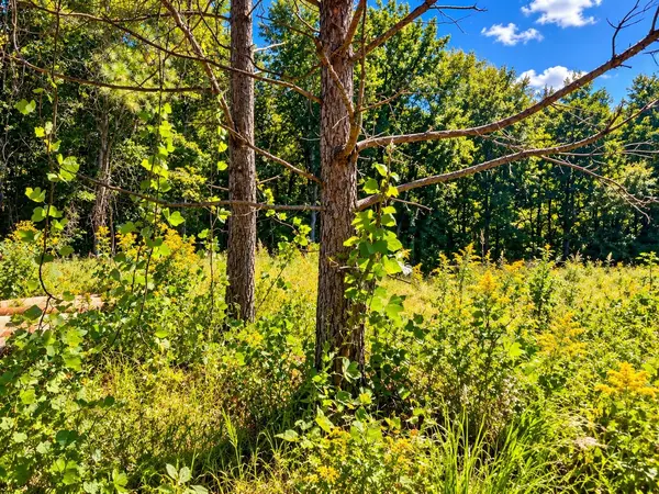 528 Wilkins Ford RD, Inman, SC 29349