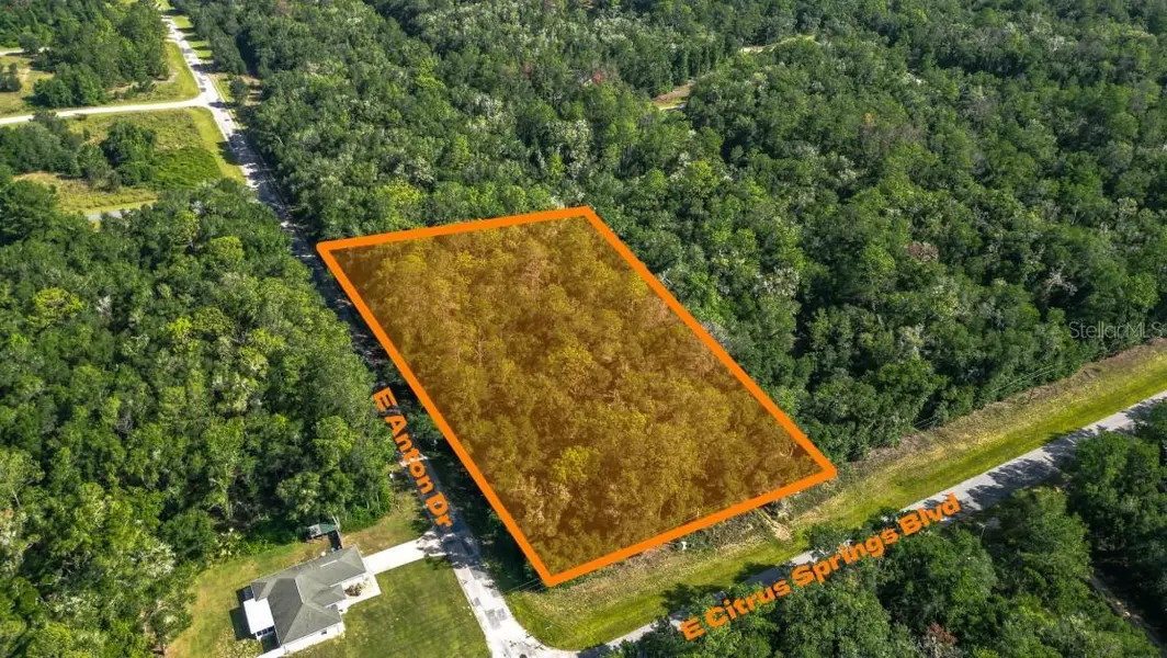 825 E Anton DR, Citrus Springs, FL 34434