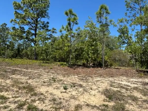 2888 W Lambert DR, Dunnellon, FL 34433