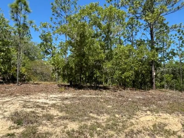 2888 W Lambert DR, Dunnellon, FL 34433