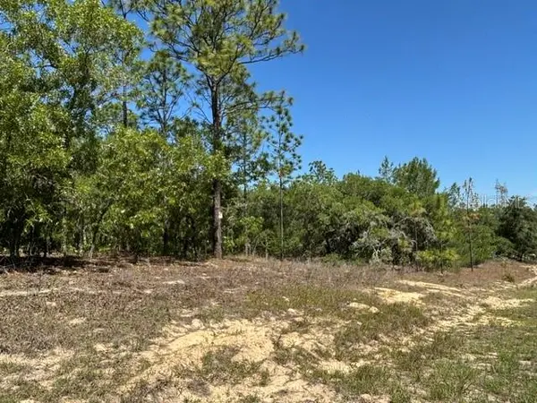 2888 W Lambert DR, Dunnellon, FL 34433