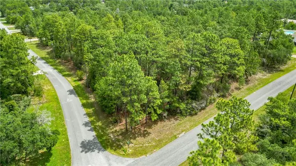 6951 N Tallwood DR, Citrus Springs, FL 34434