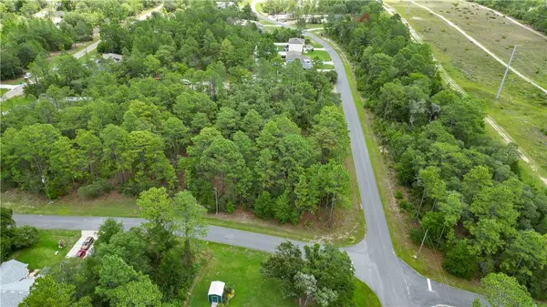 6951 N Tallwood DR, Citrus Springs, FL 34434