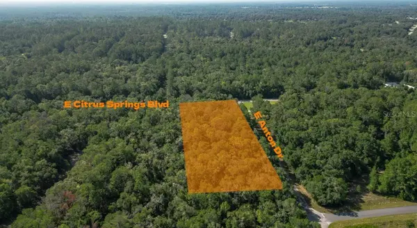 825 E Anton DR, Citrus Springs, FL 34434