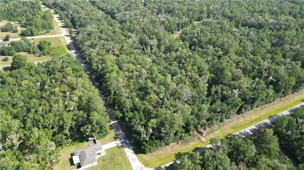 825 E Anton DR, Citrus Springs, FL 34434