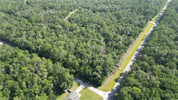 825 E Anton DR, Citrus Springs, FL 34434