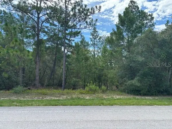8315 N Citrus Springs BLVD, Citrus Springs, FL 34433