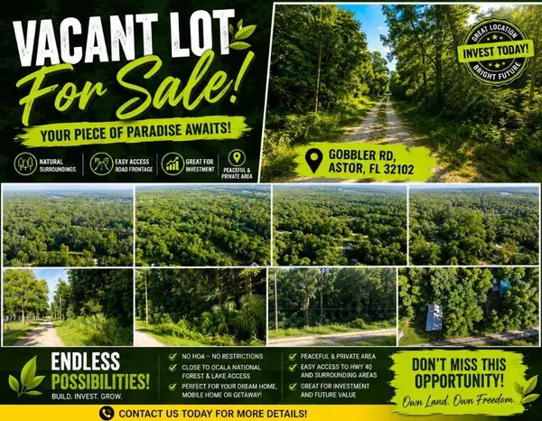 0 GOBBLER RD, Astor, FL 32102