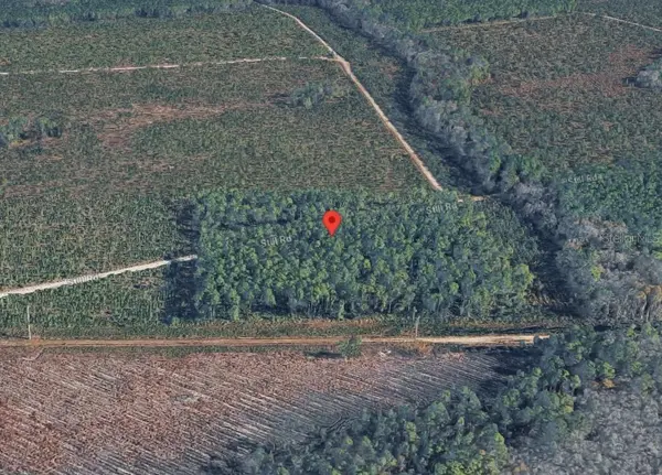 0 HIGHWAY 17S, Green Cove Springs, FL 32043
