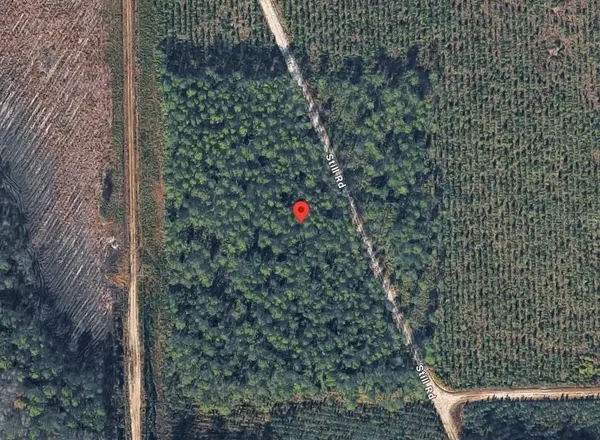 0 HIGHWAY 17S, Green Cove Springs, FL 32043