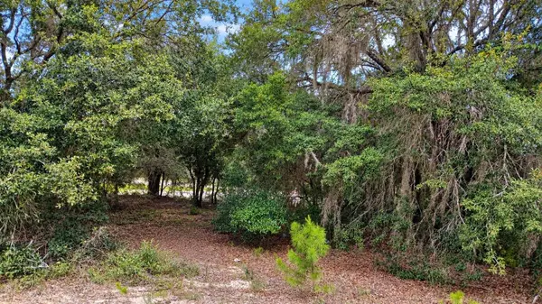 TBD SE MALAUKA LOOP RUN RD, Ocklawaha, FL 32179