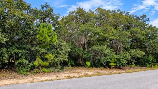 TBD SE MALAUKA LOOP RUN RD, Ocklawaha, FL 32179