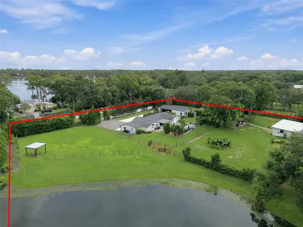 19902 GUNN HWY, Odessa, FL 33556