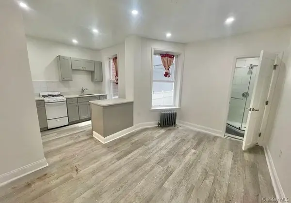 196 Lawrence AVE, Brooklyn, NY 11230