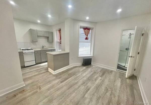 196 Lawrence AVE, Brooklyn, NY 11230