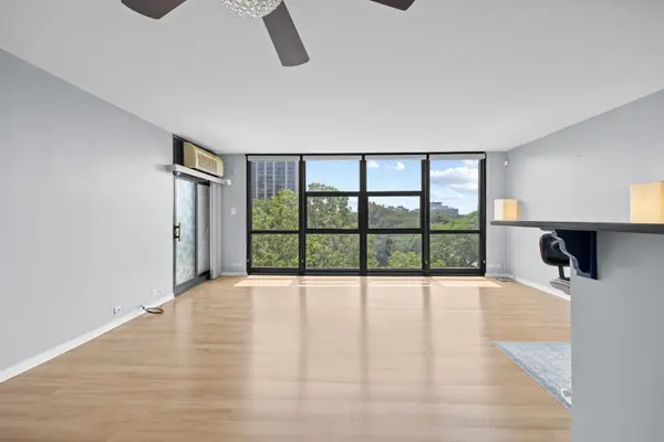 2901 S Michigan AVE #405A, Chicago, IL 60616