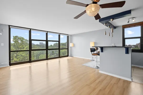 2901 S Michigan AVE #405A, Chicago, IL 60616
