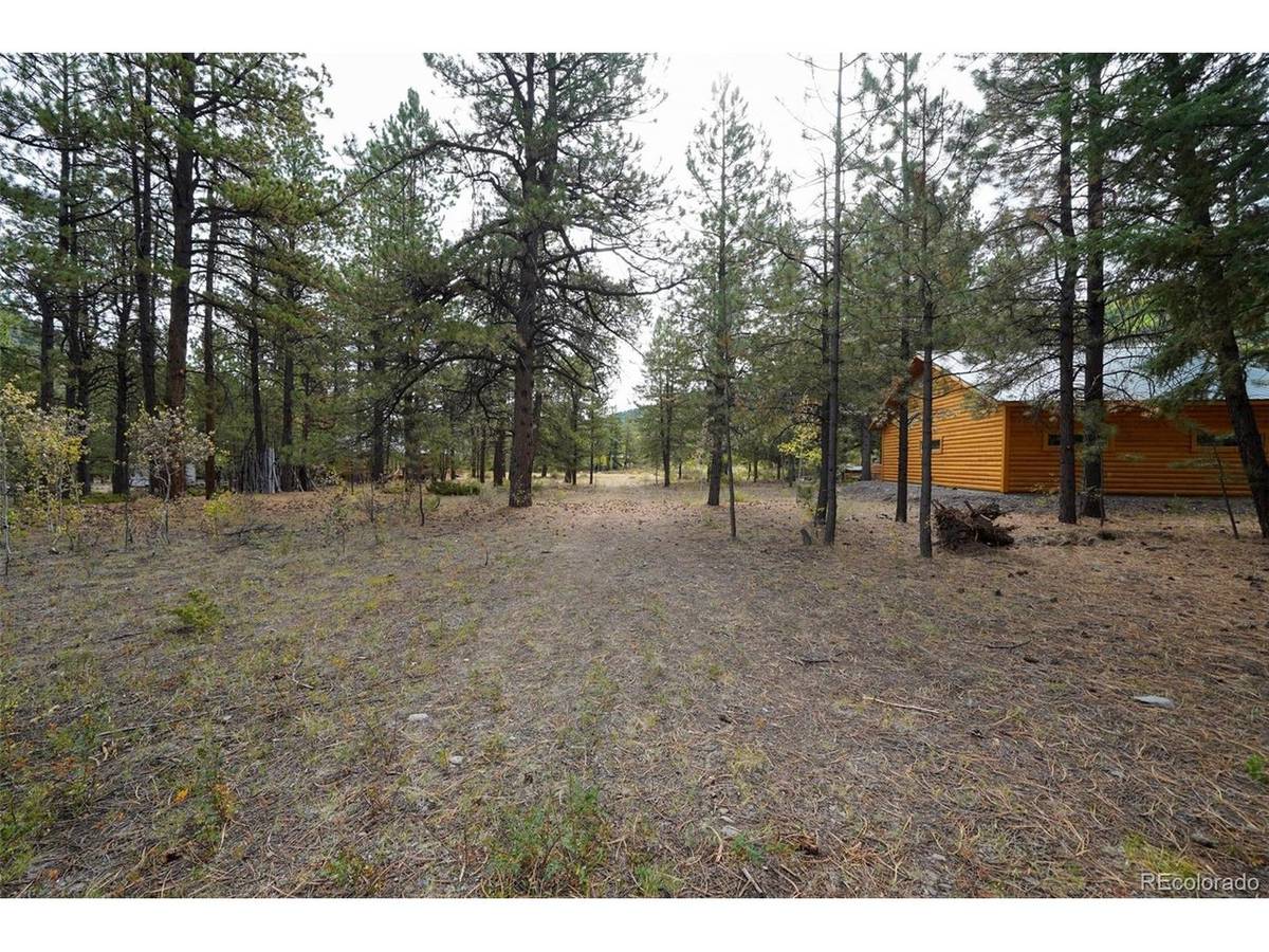 136 Elk Meadow, Antonito, CO 81120