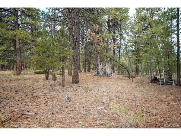 136 Elk Meadow, Antonito, CO 81120