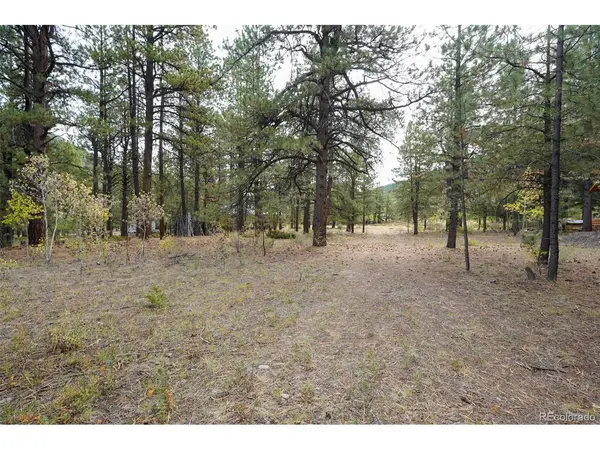 136 Elk Meadow, Antonito, CO 81120