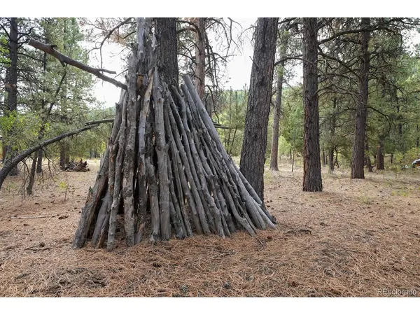 136 Elk Meadow, Antonito, CO 81120