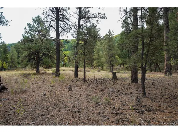 136 Elk Meadow, Antonito, CO 81120