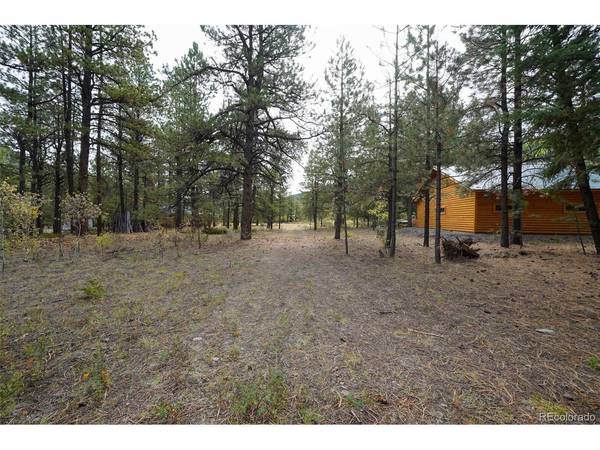 136 Elk Meadow, Antonito, CO 81120