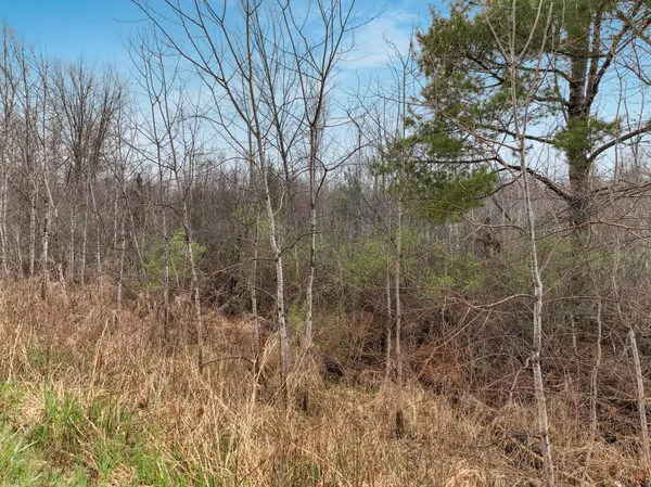 Lot 1 11th AVE, Chetek Twp, WI 54728